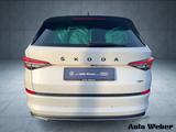 Skoda Kodiaq Sportline 2.0TDI 4x4 DSG Navi Pano Std.Hz - Skoda Gebrauchtwagen in Bonn