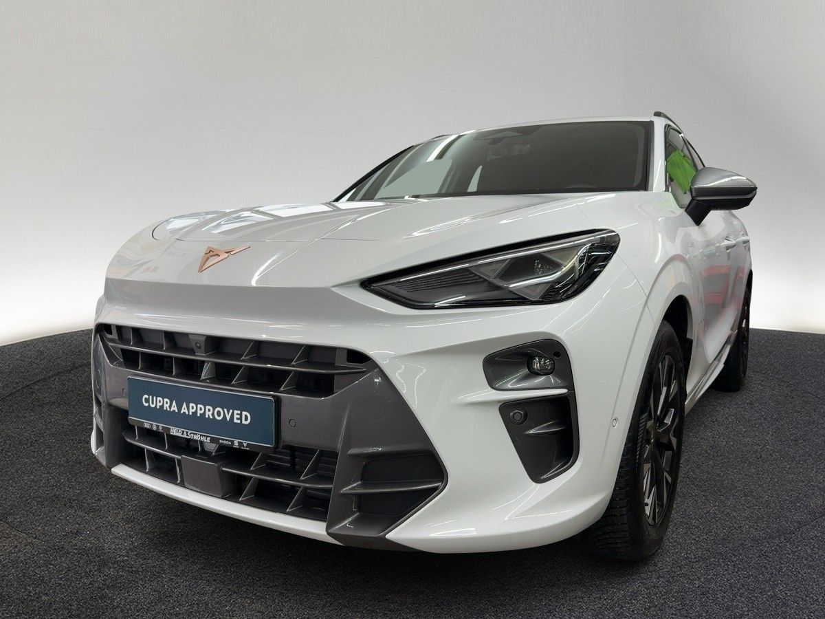 Cupra Terramar - Bild 2