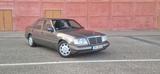 Mercedes-Benz 320 W124 Sportline Orginal 4 Sitzer - Mercedes-Benz W124 sportline