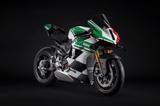 Ducati PANIGALE V4 TRICOLORE **SOFORT LIEFERBAR*** - DUCATI TRICOLORE
