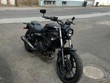 Kawasaki Eliminator 500 ARROW MY2024 Garantie bis 03.2028 - KAWASAKI ELIMINATOR 500