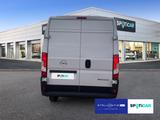 Opel Movano C 2.2 Diesel 165 (3,5t) L4H2 Edition (ver - Opel LKWs