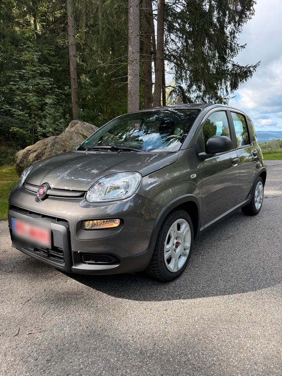 Image of Fiat Panda