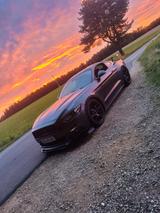 Ford Mustang 5.0 V8Black Shadow Edition - EU Modell - Ford Mustang: Edition