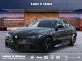 Alfa Romeo Quadrifoglio 2.9 V6 Biturbo 520 PS AT 8 - Alfa Romeo Giulia in Köln