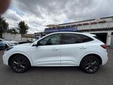 Ford Kuga Plug-In Hybrid ST-Line X, Panorama, Auto. - Ford Kuga in Gelsenkirchen