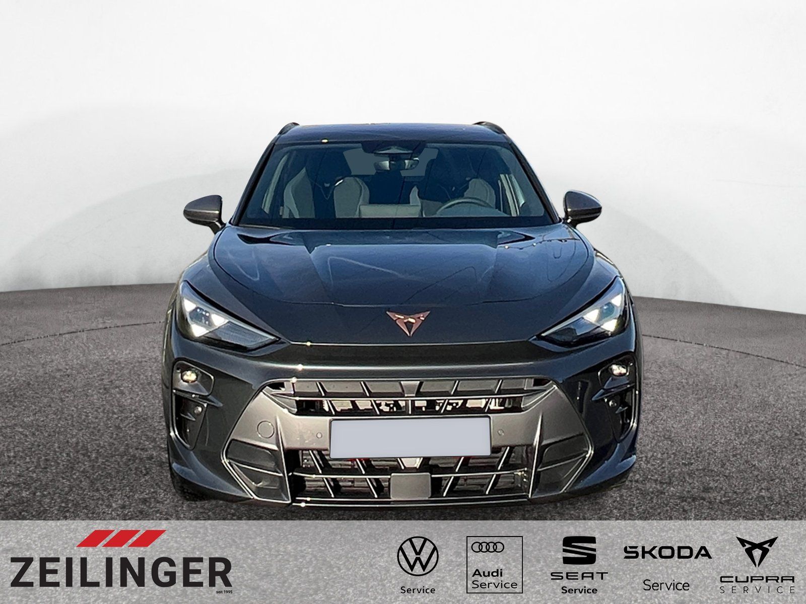 Cupra Terramar - Bild 2