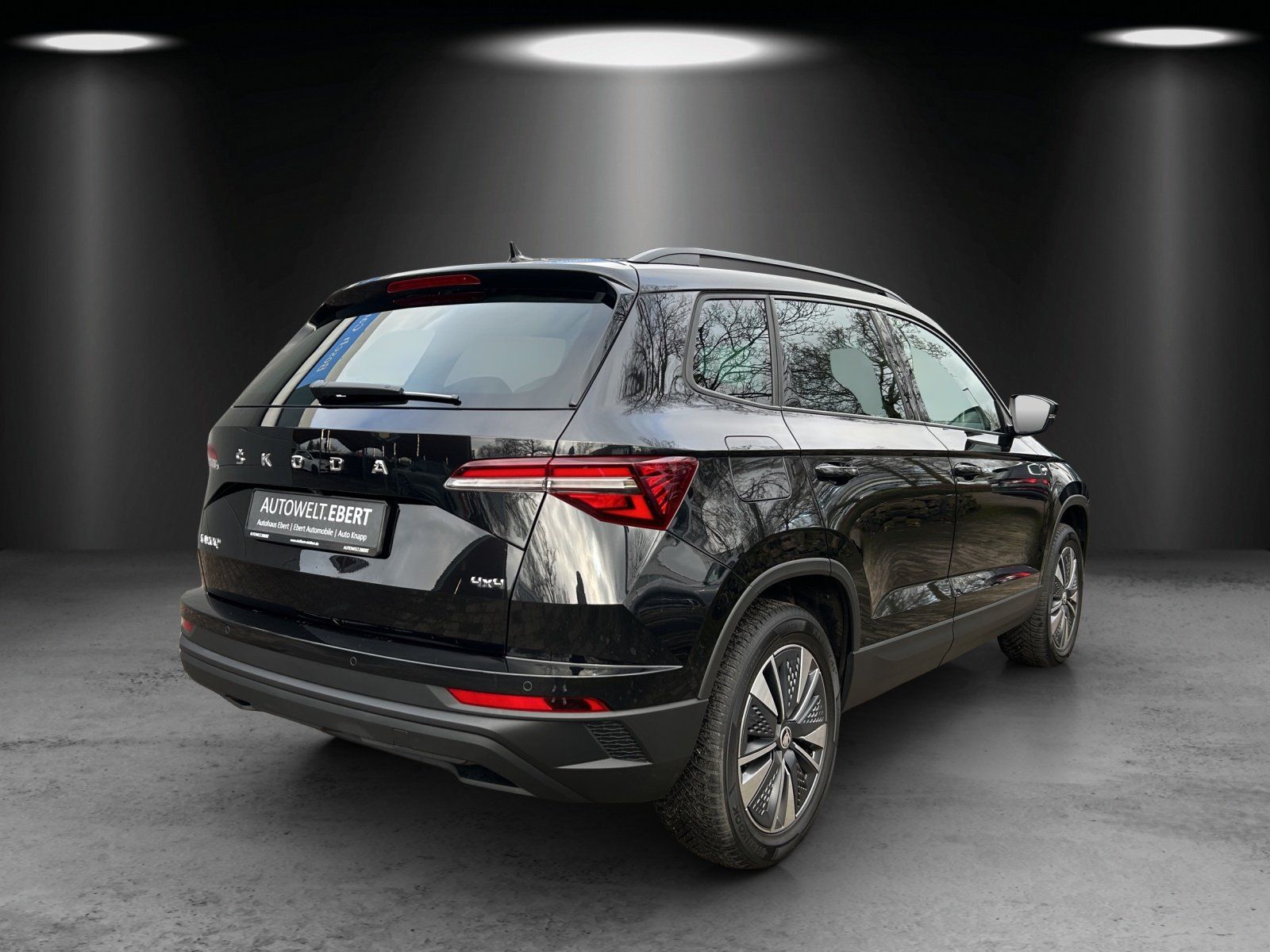 Fahrzeugabbildung SKODA Karoq Tour 2.0 TDI 4x4 DSG/LED/ACC/AHK/KAMERA