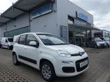 Fiat Panda Easy 0.9 KLIMA/1.Hand/Servo/Euro6/TECH - Fiat Panda: 1.0