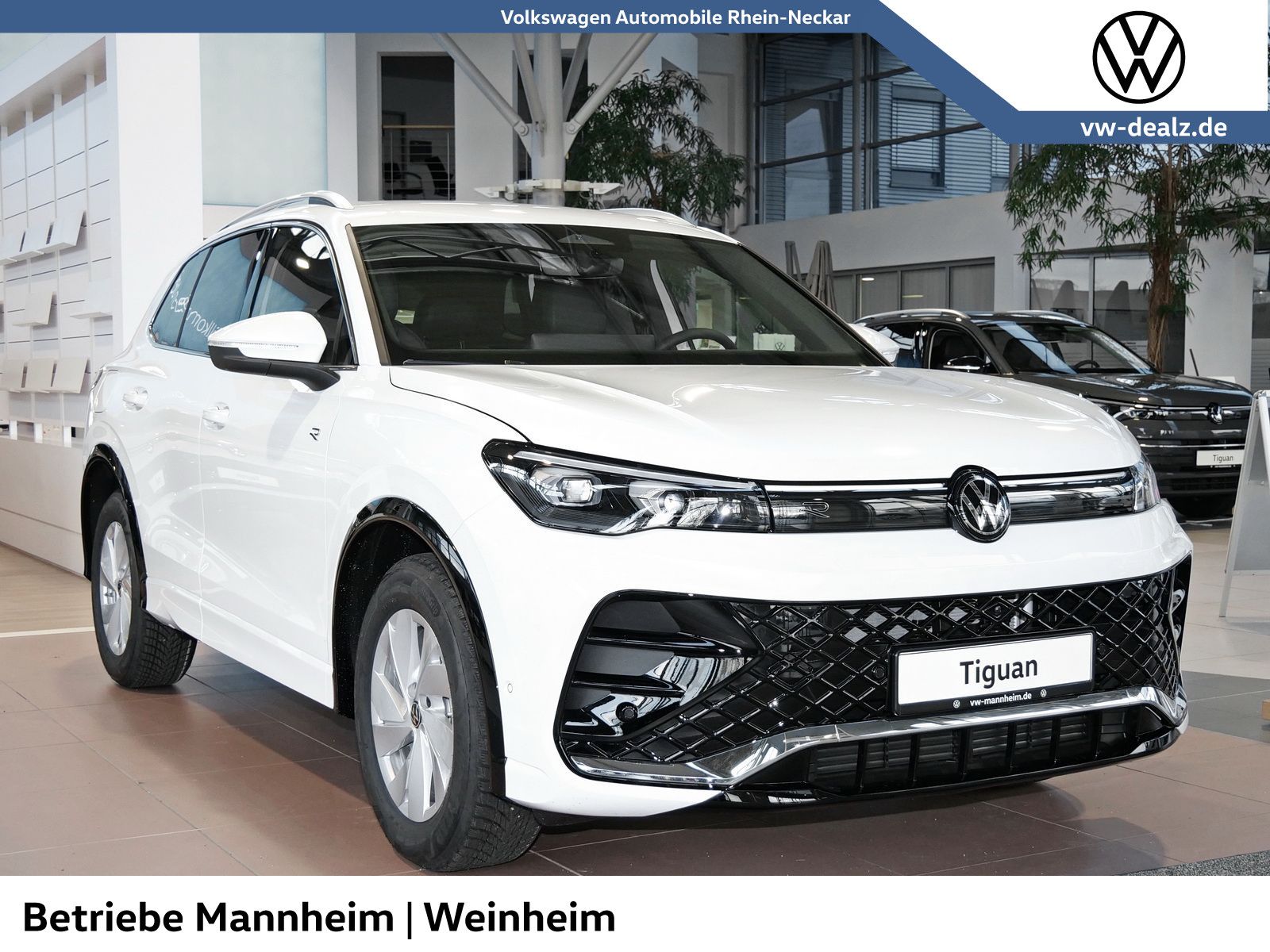 Volkswagen Tiguan - Bild 3