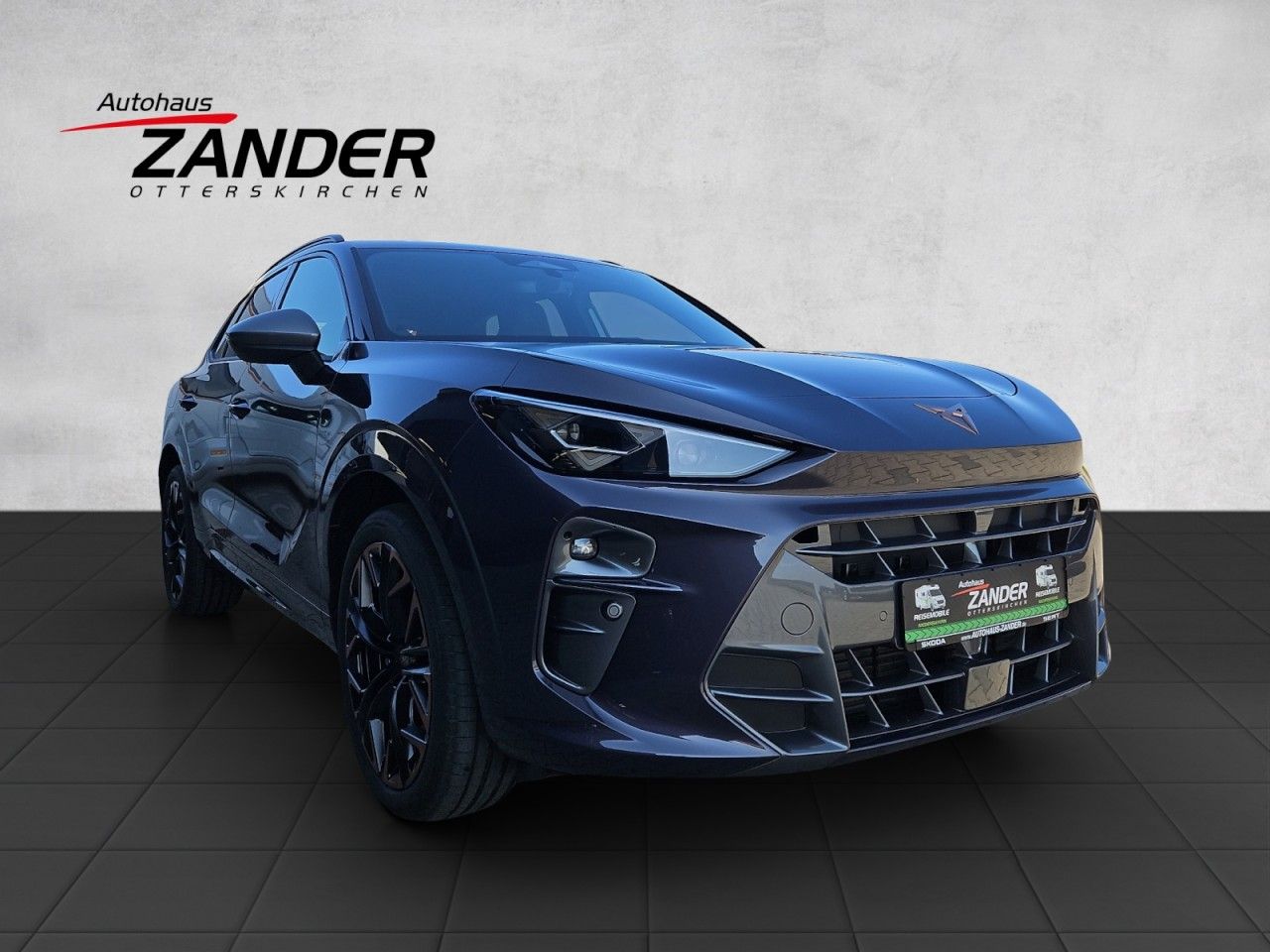 Fahrzeugabbildung CUPRA Terramar 2.0 TSI DSG 4Drive AHK,Sennheiser