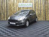 Ford Fiesta Titanium 1,0 EcoBoost Start/Stop Titanium - Ford Fiesta Gebrauchtwagen in Braunschweig