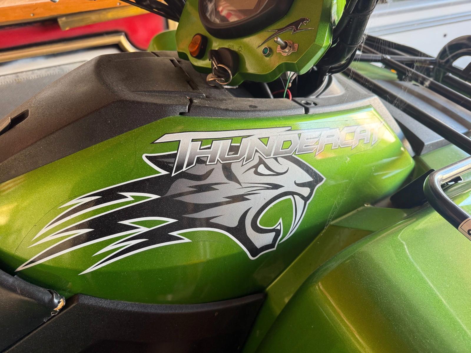 Arctic Cat 1000 Thundercat 2010 — фото 6
