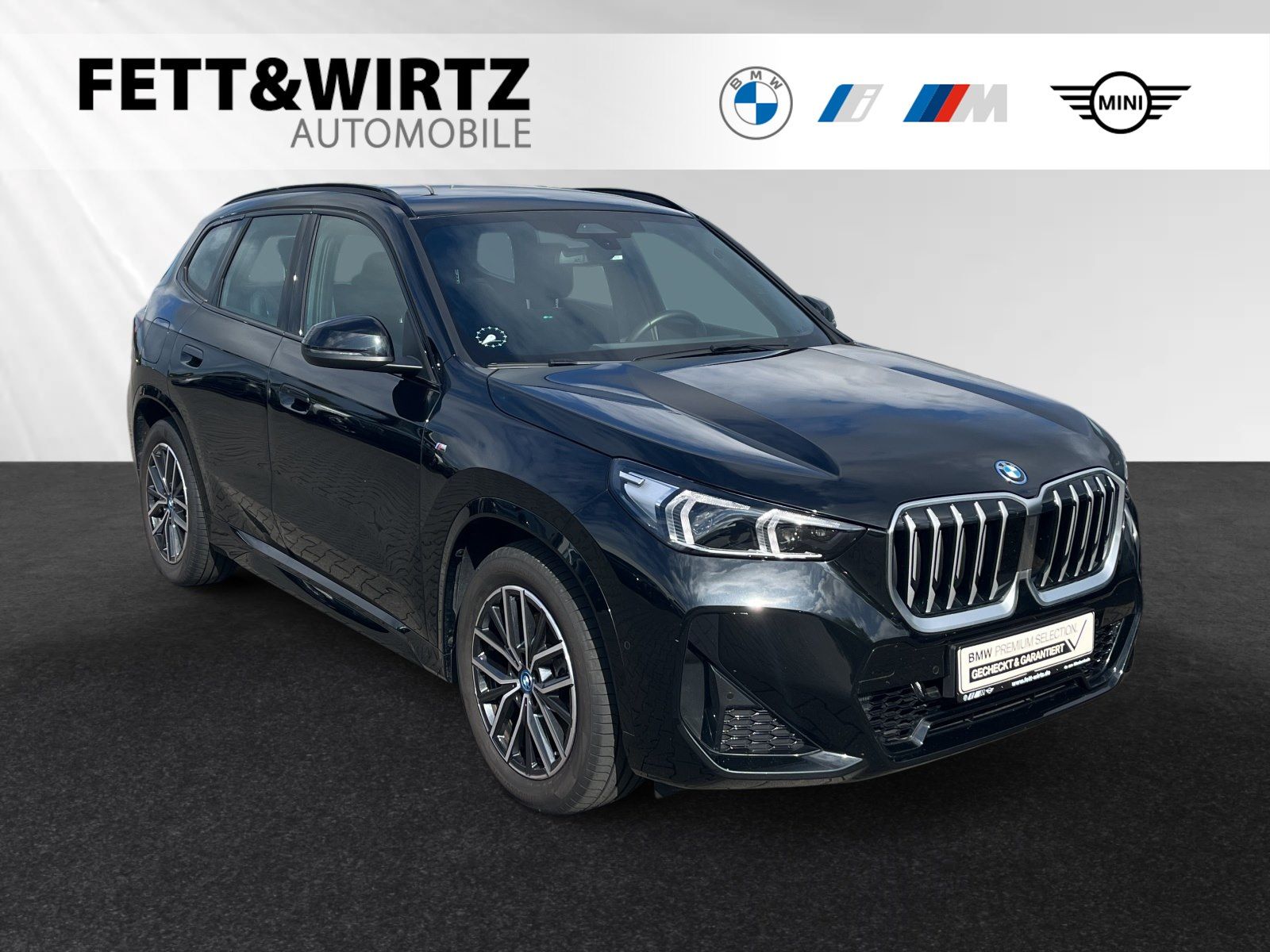 BMW X1 xDrive25e M Sportpaket DrivingAss. Parkass foto 1