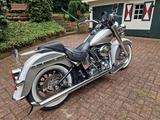 Harley-Davidson FLSTN  Softail Deluxe - Angebote