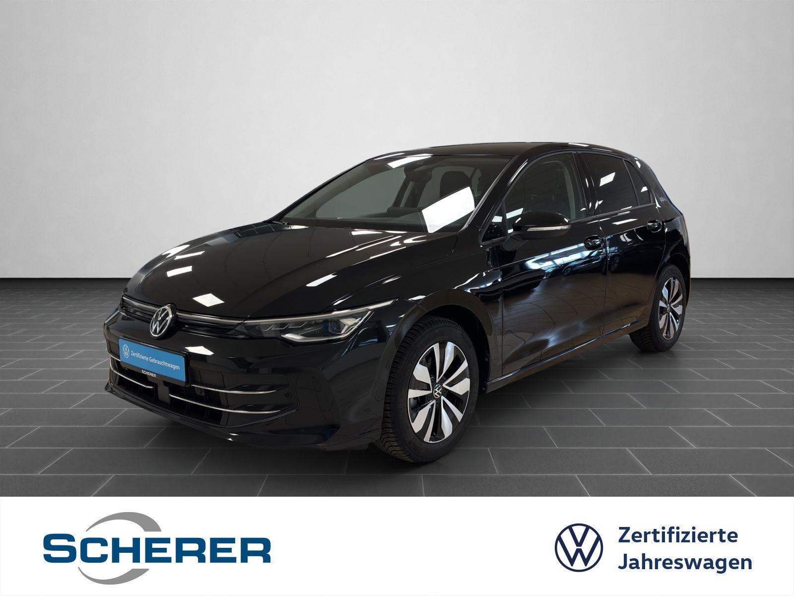 Volkswagen Golf VIII 1.5 TSI Goal NAVI AHK LED-PLUS IDA