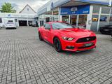 Ford Mustang 2.3 EcoBoost - Ford aus 2016