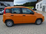 Fiat Panda Easy - Fiat Panda aus 2019