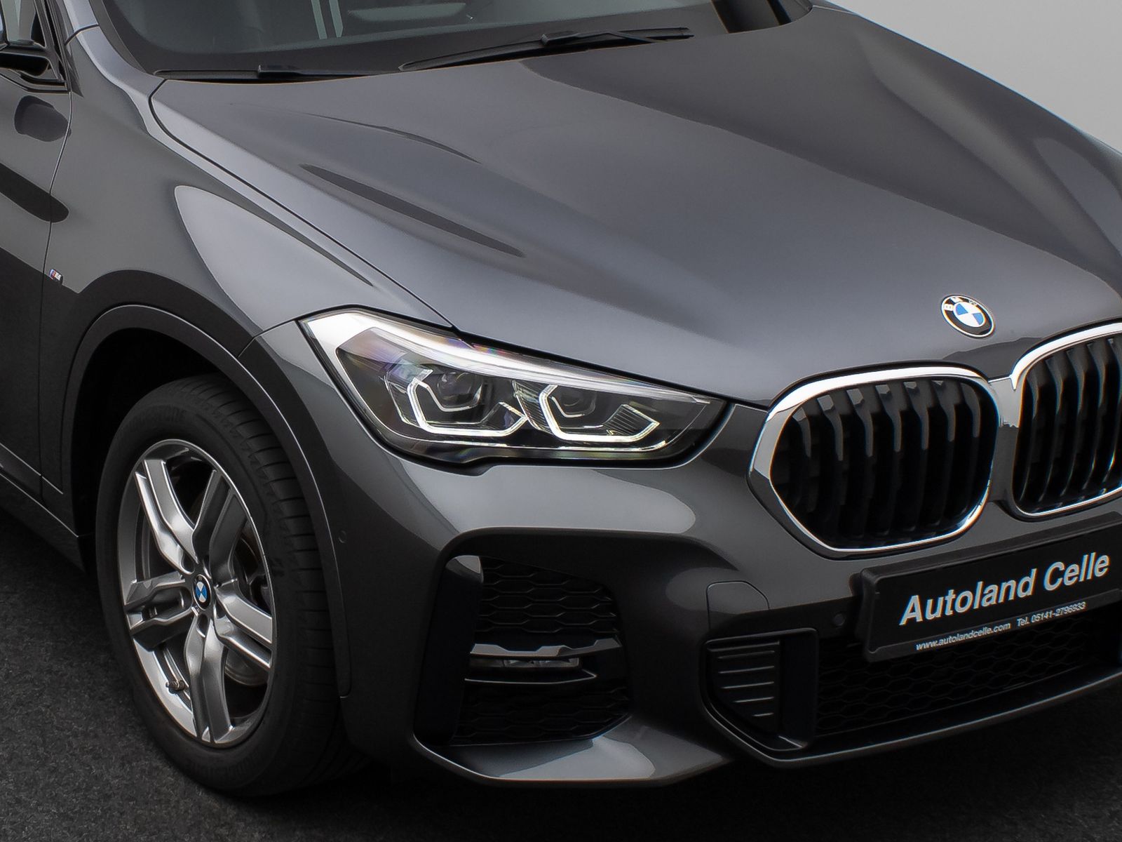 Fahrzeugabbildung BMW X1 xD25e M Sport Panorama DAB Navi LED 18Zoll