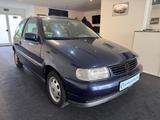 Volkswagen Polo 1.0 Servo Youngtimer SD Top Zustand - Volkswagen: Youngtimer