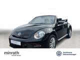 Volkswagen Beetle Cabriolet BMT 1.2 TSI KLIMA+USB+SHZ+2xPDC - : Cabrio, Us