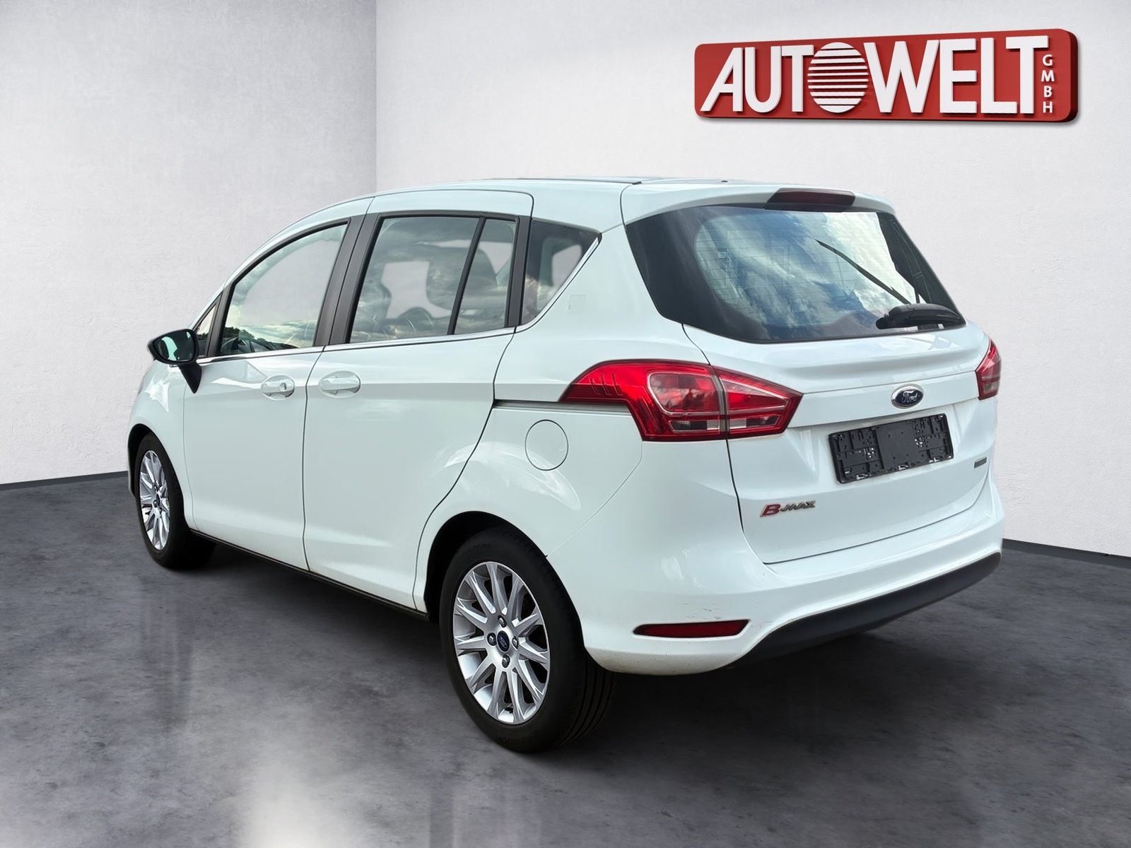 Fahrzeugabbildung Ford B-MAX 1.0 EcoBoost Titanium SHZ,Keyless,LM,FLA
