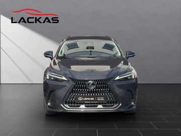 Lexus NX 350h - 8