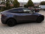 Tesla Model Y Long Range Dual Motor AWD Long Range - Tesla Model Y: Grau