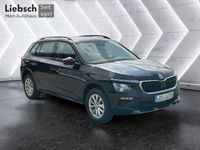 Skoda Kamiq - Vorschau Bild 7
