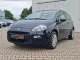 Fiat Punto Pop 1 Hand Klima Tüv Neu - gebrauchte Fiat Punto aus dem Jahr 2014