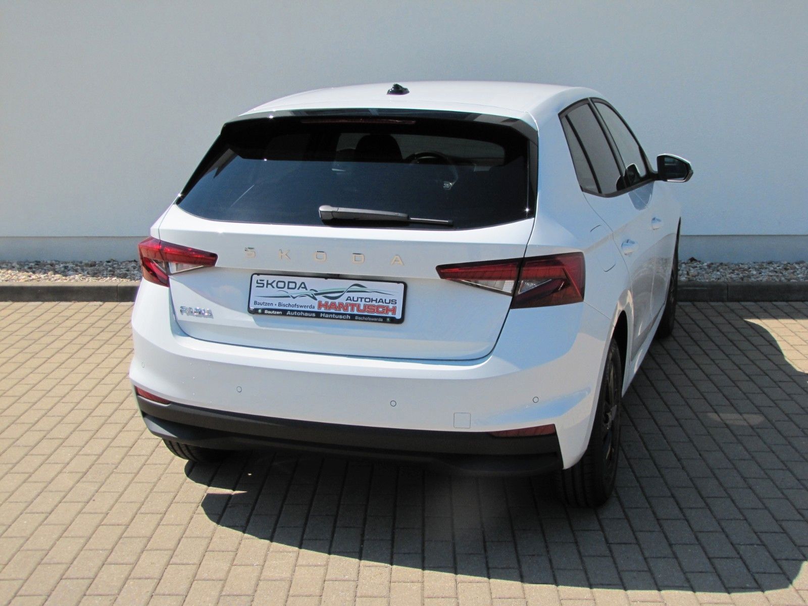 Fahrzeugabbildung SKODA Fabia Selection 1.0 TSI 95PS