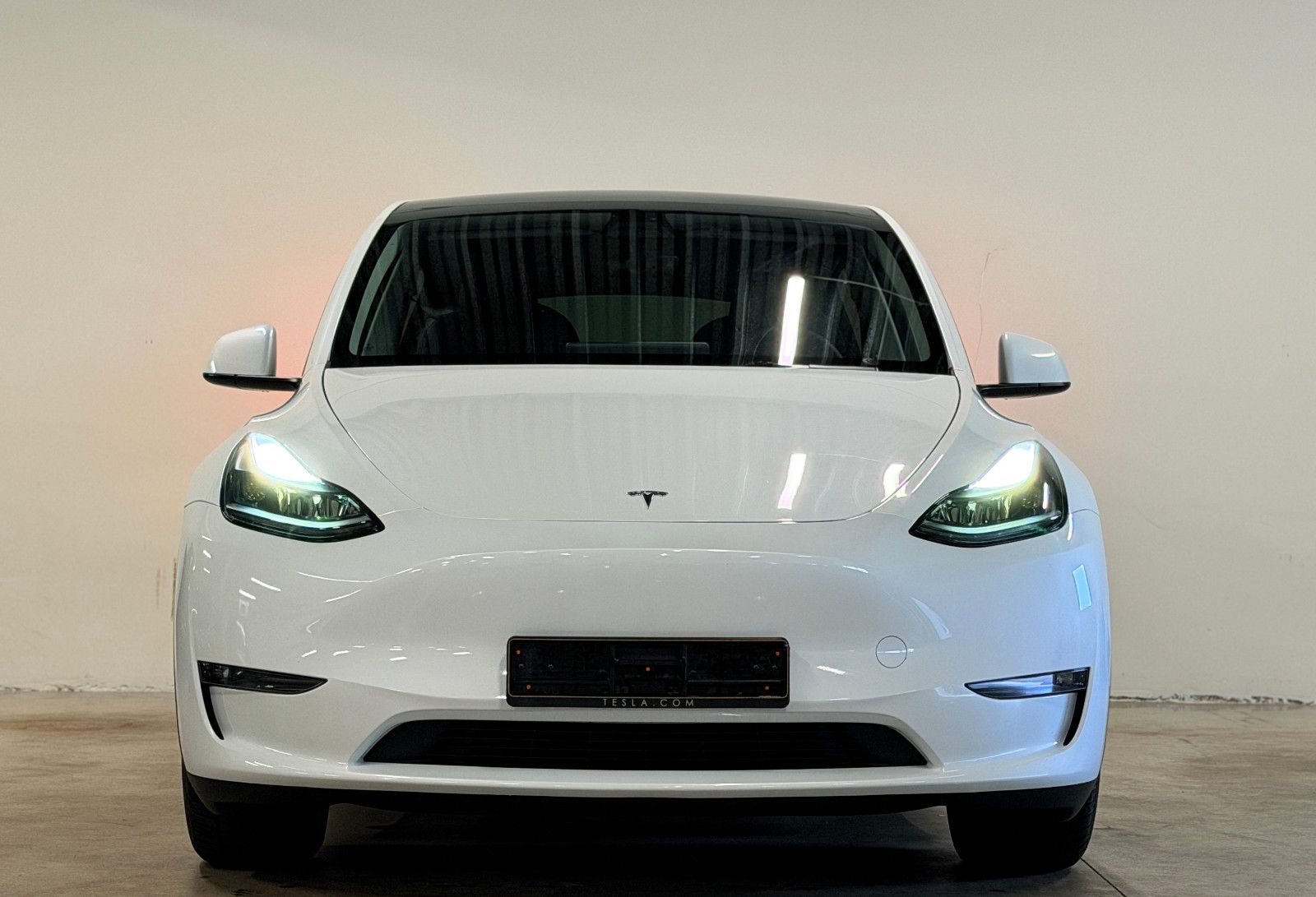 Tesla Model Y Long Range Dual AWD imagem 2