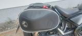 Honda CMX500 Rebel - HONDA C50