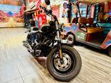 Harley-Davidson FXDF* - HARLEY-DAVIDSON MOTORRAD