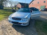 Mercedes-Benz CLK 200 KOMPRESSOR Cabrio AVANTGARDE - Mercedes-Benz: Clk Avantgarde