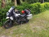 Triumph Tiger 800 XCX - TRIUMPH TIGER 800 XCX