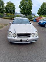 Mercedes-Benz CLK 55 AMG AMG - Mercedes-Benz CLK 55 AMG: Coupe