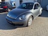 Volkswagen Beetle 1,2L *Climatronik*SH-VOLL*PDC*1.Hand*ALU* - Volkswagen Beetle in Hamburg