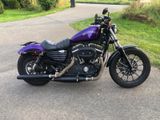 Harley-Davidson 883 XL Iron - Angebote entsprechen deinen Suchkriterien