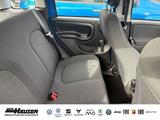 Fiat Panda ICON Hybrid 1.0 GSE KLIMA PDC TEMPOMAT - Fiat Panda: Allradantrieb