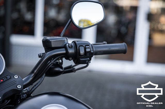 Fahrzeugabbildung Harley-Davidson XL883N SPORTSTER IRON - HEIZGRIFFE - Wartung neu