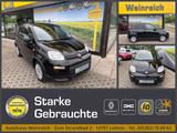 Fiat Panda mit Klima, Bluetooth & Allwetter Klima - Fiat Panda Gebrauchtwagen in Duisburg