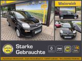 Fiat Panda mit Klima, Bluetooth & Allwetter Klima - Fiat in Nürnberg