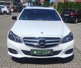 Mercedes-Benz E 250 BlueTec 4Matic*Avantgarde*Ahk*Led*T-Led* - Mercedes-Benz E-Klasse Gebrauchtwagen