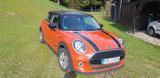 MINI Cooper Cooper Automatik - Mini Cooper von privat