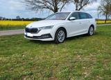Skoda Octavia 1.6 TDI SCR Style Style - Skoda Octavia mit Diesel-Antrieb: Limousine, 1.6