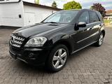 Mercedes-Benz ML 420 CDI 4MATIC; Facelift! AHK; Harmann; SD - Mercedes-Benz ML 420: Cdi 4matic