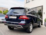 Mercedes-Benz ML 250 CDI BT 4Matic  19'' AMG - Mercedes-Benz aus 2012: Ml