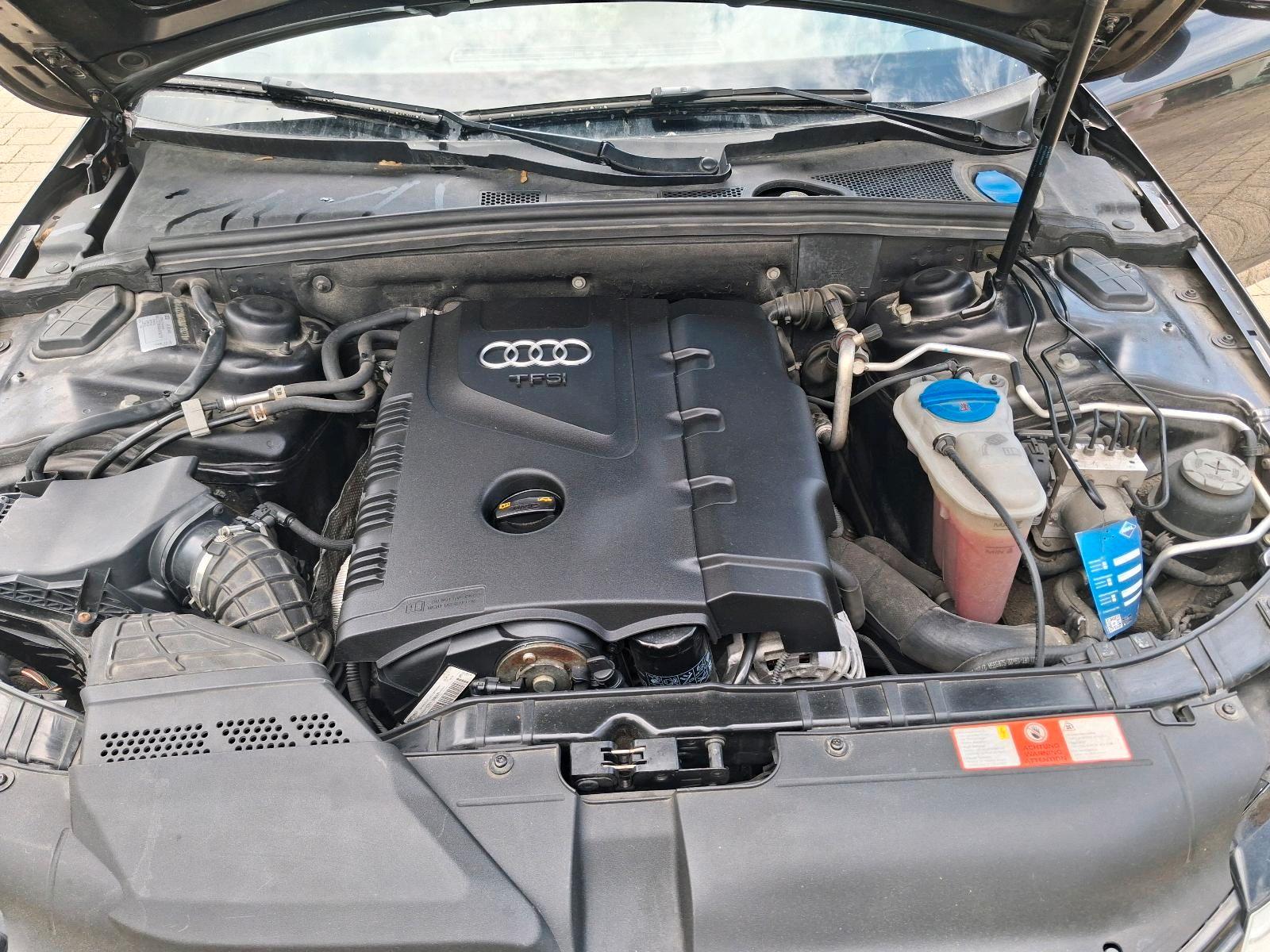 Audi A4 2010 — photo 13