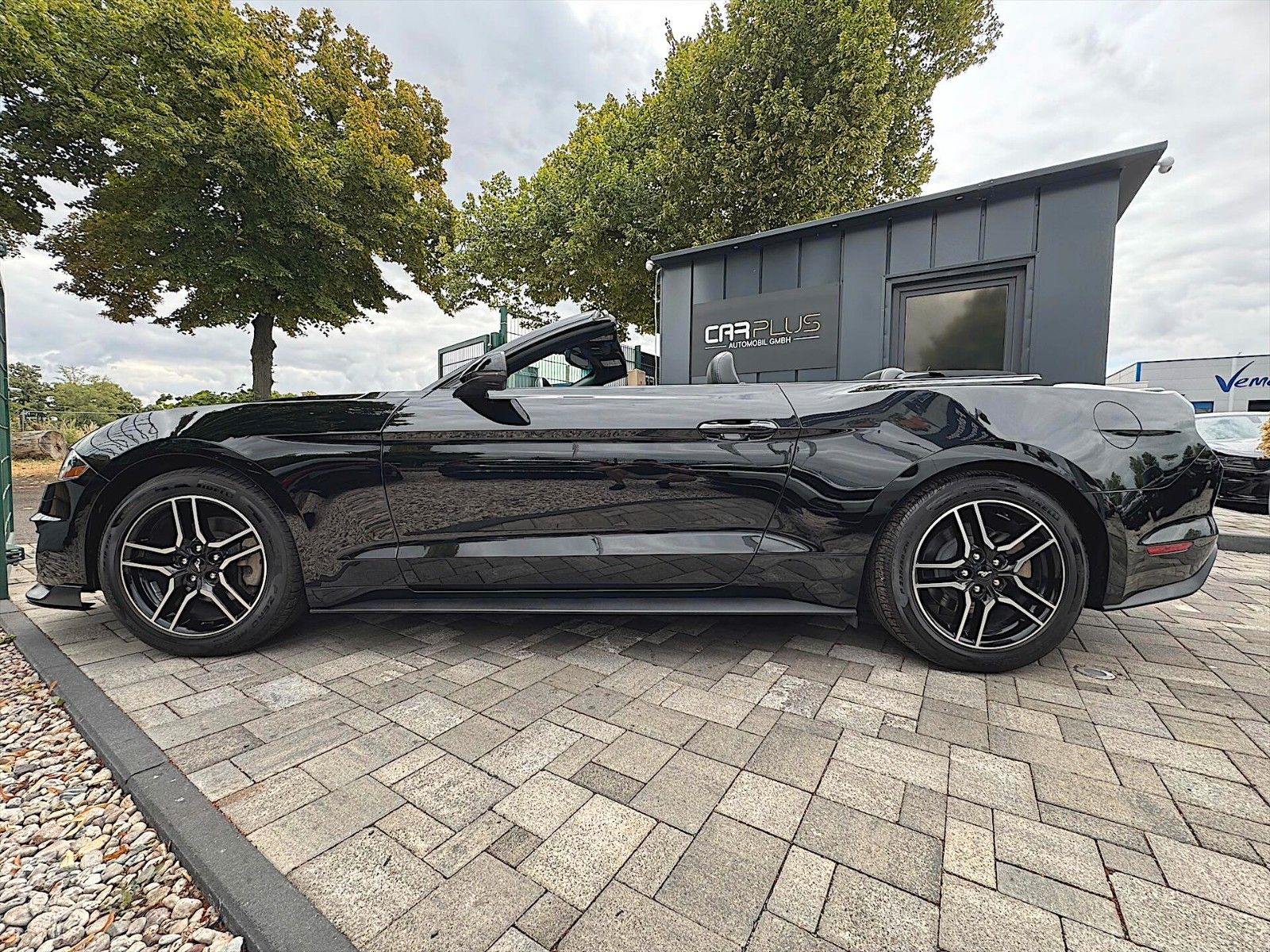 Fahrzeugabbildung Ford Mustang Shelby GT 500 Sport Cabrio Premium LED